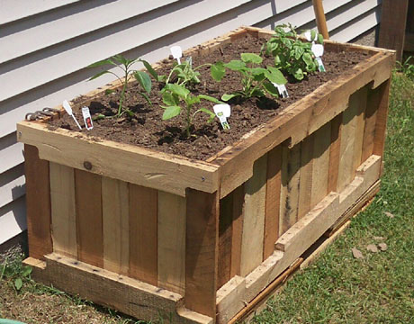 Pallet Container Garden Lg